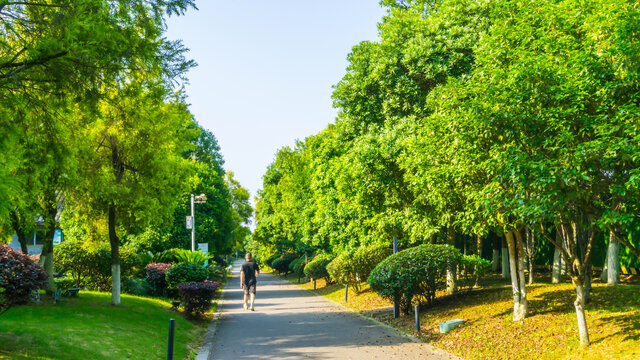 健康步道