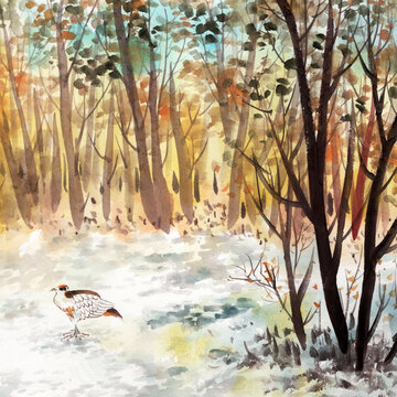 手绘水彩树林风景画