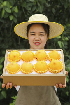 黄油桃