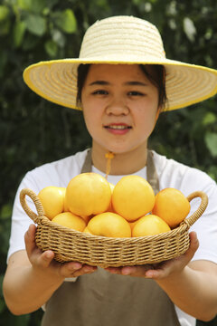 黄油桃