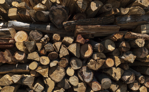 大量排列整齐的木头