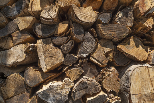 大量排列整齐的木头