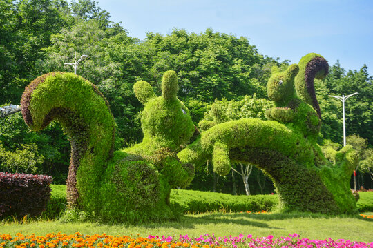 花坛花艺