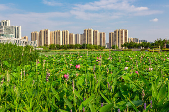 荆门市市民广场