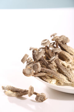 干鹿茸菇
