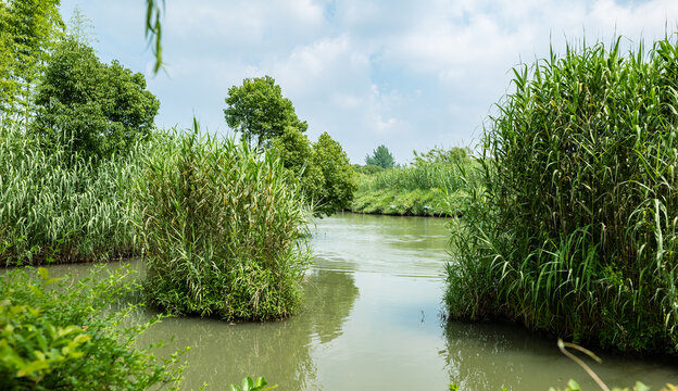 常熟沙家浜风景区