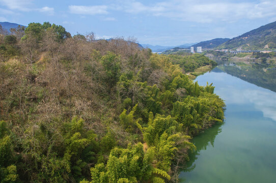 闽江江边山头绿林