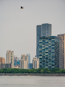 杭州市滨江区城市风光