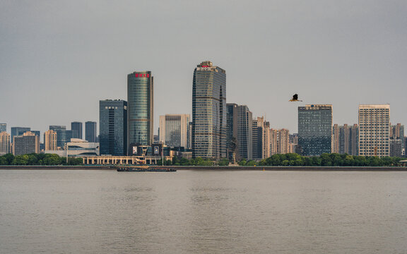 杭州市滨江区城市天际线