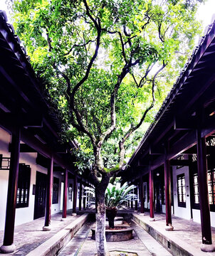 灵隐寺