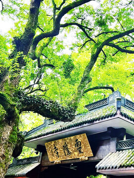 灵隐寺