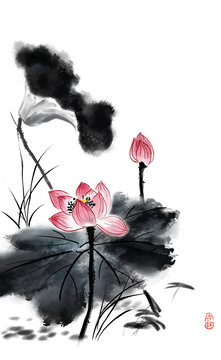荷花水墨画