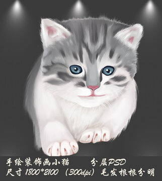 手绘装饰画小猫