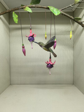 蜂鸟工艺品