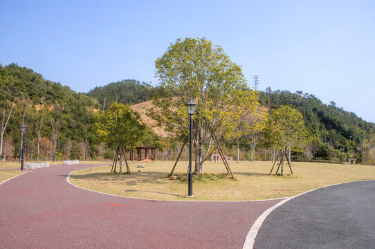 延平站站后公园风景