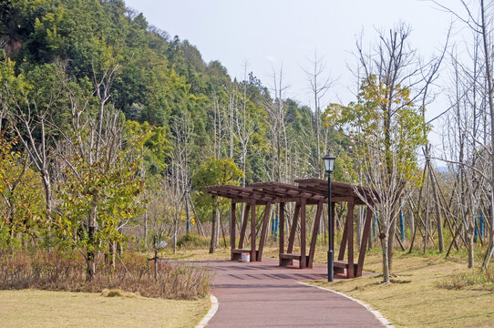 延平站站后公园景观