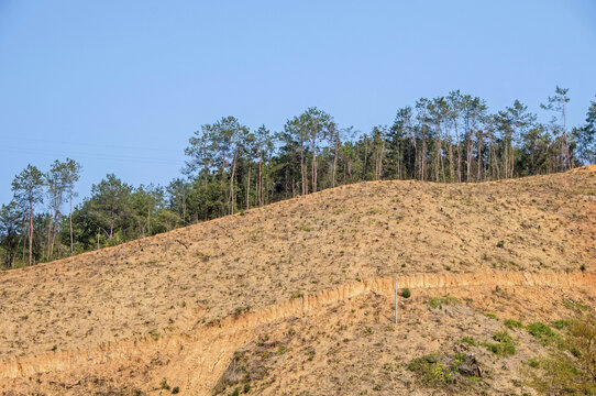 山坡土地