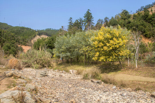 延平站站后公园枯山水景观