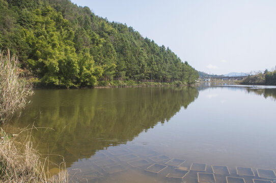 山水水塘风景