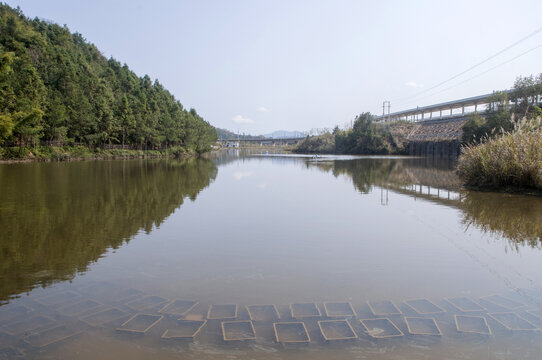 水池风景