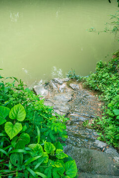 河边小路