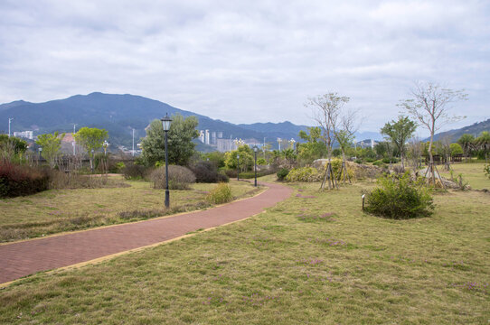 公园草地小路