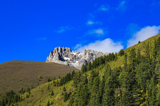 甘孜奶龙山