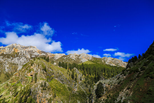 甘孜奶龙山