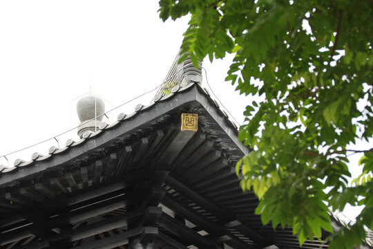 广州文化馆屋檐