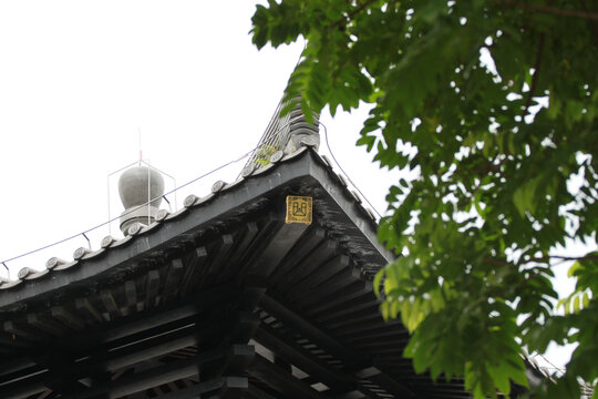 广州文化馆屋檐
