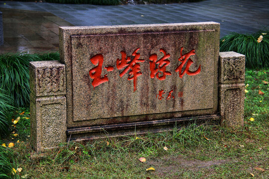 亭林园玉峰琼花