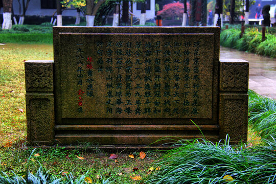 亭林园玉峰琼花