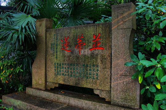 亭林园并蒂莲