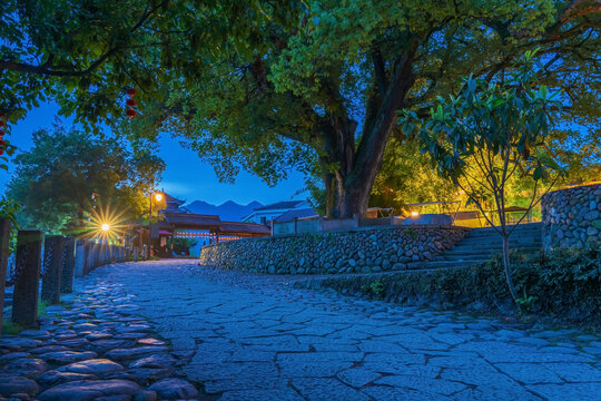 浙江丽水古堰画乡古樟树街景