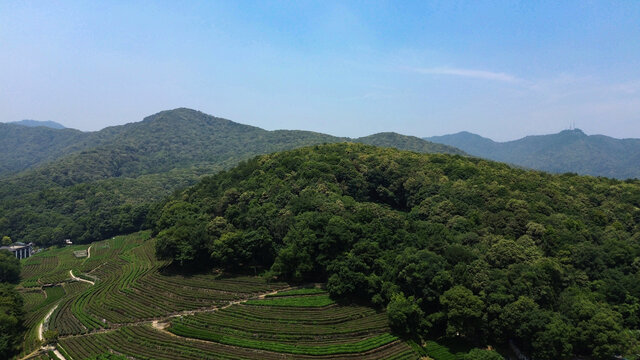 航拍森林天空
