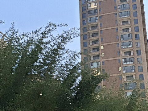 绿化