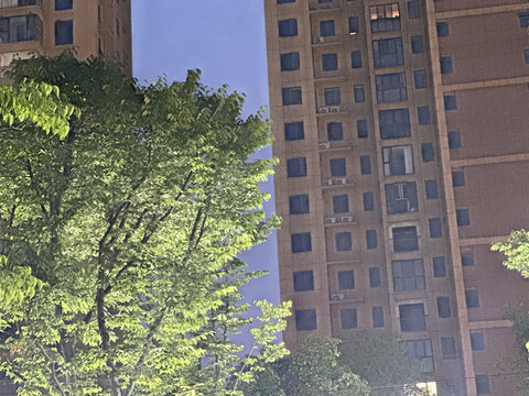 园林绿化