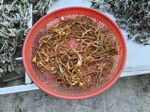 干黄花菜