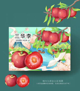 三华李插画包装