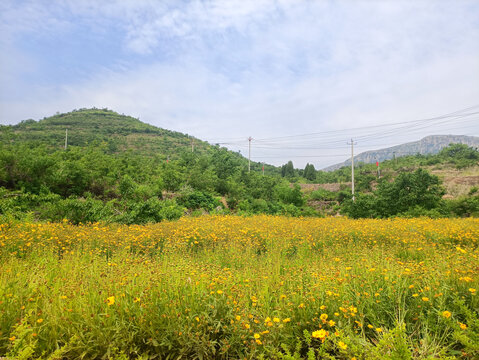 山花