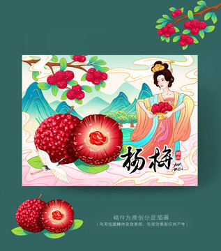 杨梅插画包装