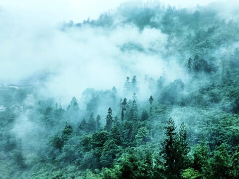 山水画云雾山地