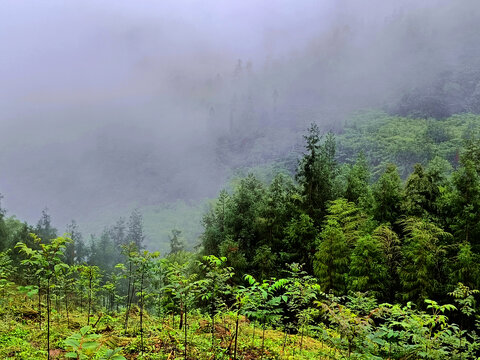 山水画云雾山地