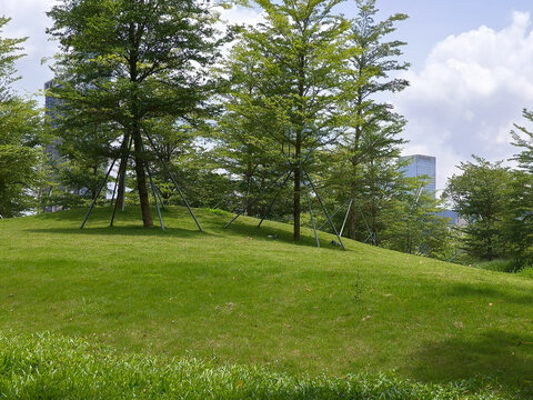 草地