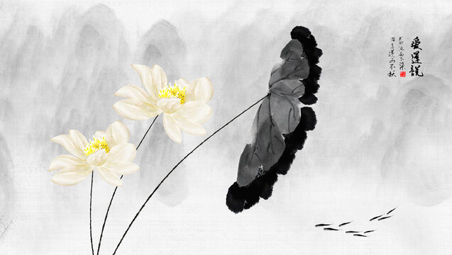 中国画荷花