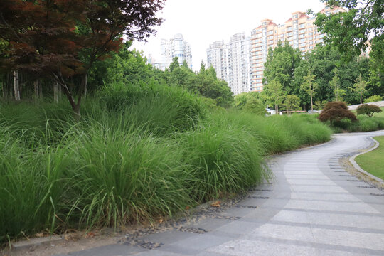前方的路