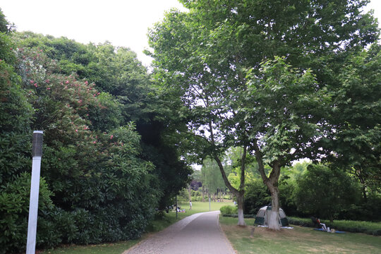 路