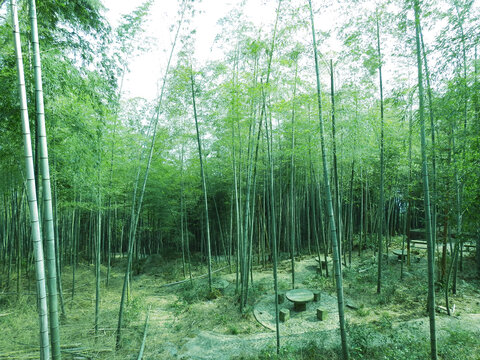 庐山太乙村