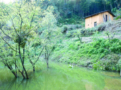 福建长汀丁屋岭