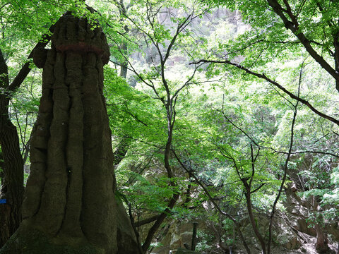绵山风景区
